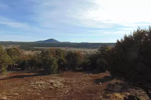 3 County Road 3030, Vernon, AZ 85940 - Photo 45