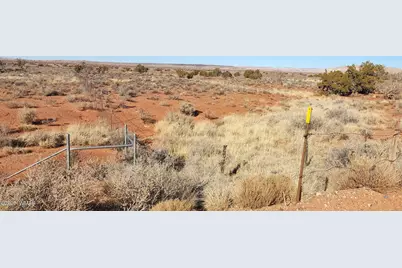 530 Co Road, Concho, AZ 85924 - Photo 3