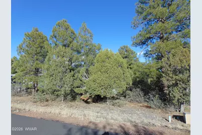 681 S 2nd Street, Show Low, AZ 85901 - Photo 1