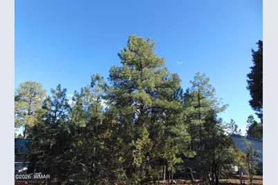 681 S 2nd Street, Show Low, AZ 85901 - Photo 7