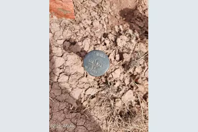 1470 E Concho Highway, Concho, AZ 85924 - Photo 19