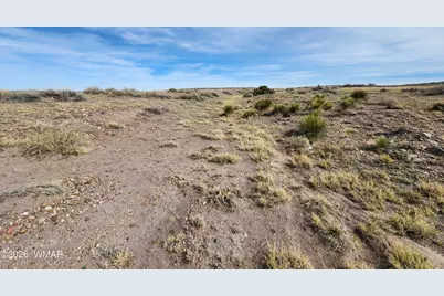 1470 E Concho Highway, Concho, AZ 85924 - Photo 5