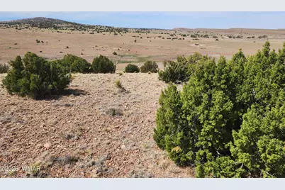 1470 E Concho Highway, Concho, AZ 85924 - Photo 29