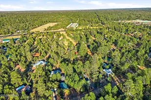 2900 Long Rifle Pl, Overgaard, AZ 85933 - Photo 31