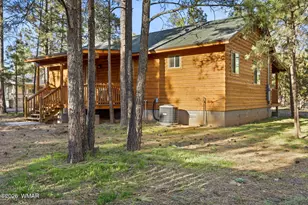 2900 Long Rifle Pl, Overgaard, AZ 85933 - Photo 23