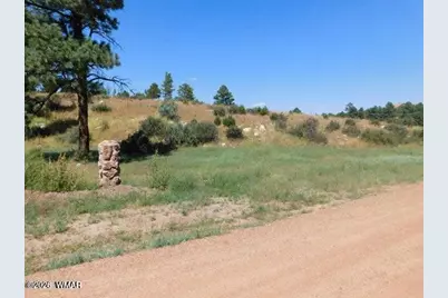 2806-2808 Pine Hill Drive, Overgaard, AZ 85933 - Photo 1