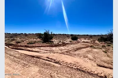 7685 Johnson Hill Trail, Snowflake, AZ 85937 - Photo 13