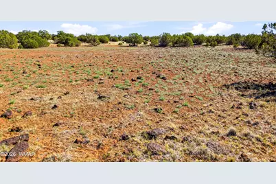 8085 County Road, Concho, AZ 85924 - Photo 5