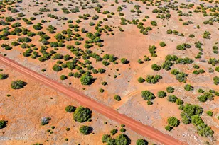 8085 County Rd, Concho, AZ 85924 - Photo 1