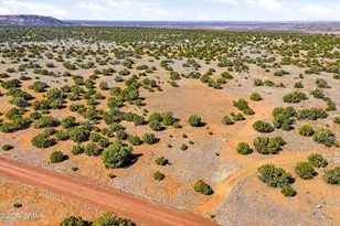 8085 County Rd, Concho, AZ 85924 - Photo 1