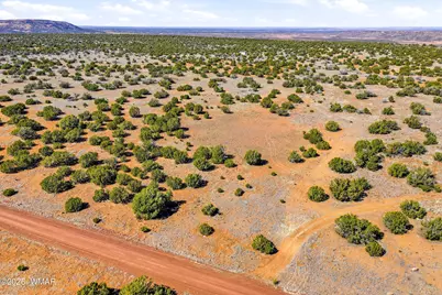 8085 County Road, Concho, AZ 85924 - Photo 3
