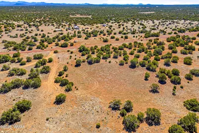 8085 County Road, Concho, AZ 85924 - Photo 7