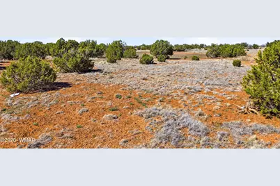 8085 County Road, Concho, AZ 85924 - Photo 5