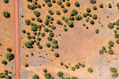 8085 County Road, Concho, AZ 85924 - Photo 9