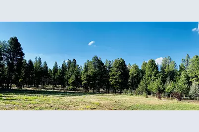 9592 Sierra Springs Drive, Pinetop, AZ 85935 - Photo 1
