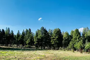 9592 Sierra Springs Dr, Pinetop, AZ 85935 - Photo 1