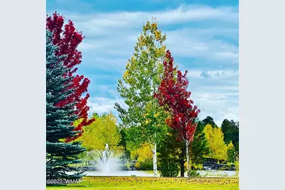 9592 Sierra Springs Drive, Pinetop, AZ 85935 - Photo 7