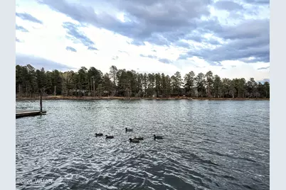 677 Fox Lane, Lakeside, AZ 85929 - Photo 45