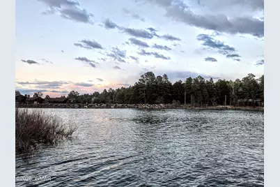 677 Fox Lane, Lakeside, AZ 85929 - Photo 43