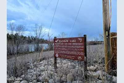 677 Fox Lane, Lakeside, AZ 85929 - Photo 41