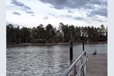 677 Fox Lane, Lakeside, AZ 85929 - Photo 47
