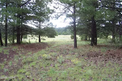 Lot 5 Red Cabin Ranch Unit II, Vernon, AZ 85940 - Photo 11