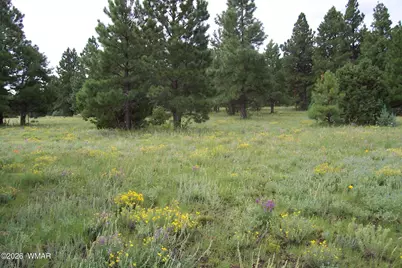 Lot 5 Red Cabin Ranch Unit II, Vernon, AZ 85940 - Photo 7