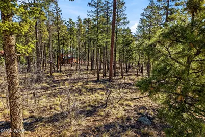 12 W Pergatory Drive, Alpine, AZ 85920 - Photo 5