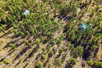 12 W Pergatory Drive, Alpine, AZ 85920 - Photo 9