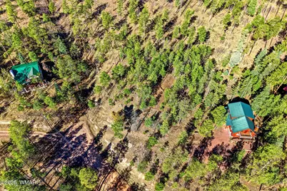 12 W Pergatory Drive, Alpine, AZ 85920 - Photo 7