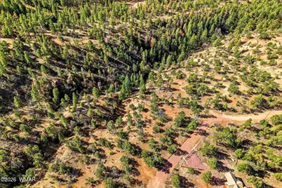 Tbd Cr N2278, Nutrioso, AZ 85932 - Photo 9