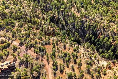 Tbd Cr N2278, Nutrioso, AZ 85932 - Photo 7