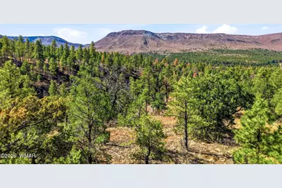 Tbd Cr N2278, Nutrioso, AZ 85932 - Photo 5