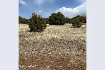 1061 S Ridgeline Drive, Show Low, AZ 85901 - Photo 5