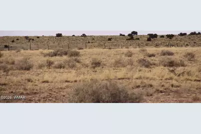 0 Stanley Lane, Saint Johns, AZ 85936 - Photo 7