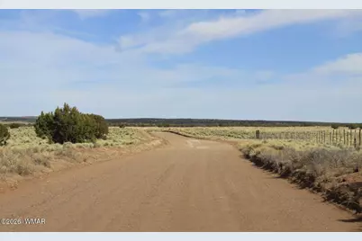 0 Stanley Lane, Saint Johns, AZ 85936 - Photo 3