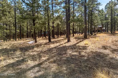 3 N1062, Greer, AZ 85927 - Photo 3