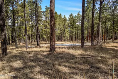 3 N1062, Greer, AZ 85927 - Photo 1