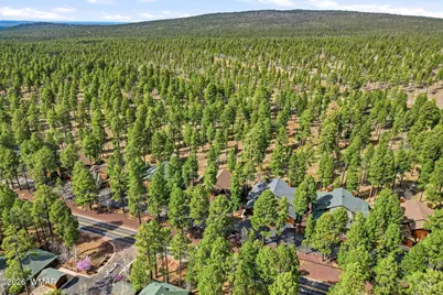 4172 Stone Pine Drive, Pinetop, AZ 85935 - Photo 31