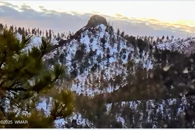 2 N2277, Nutrioso, AZ 85932 - Photo 55