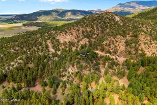 2 N2277, Nutrioso, AZ 85932 - Photo 51