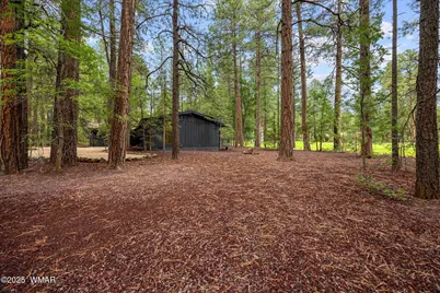 7161 Indian Bend Road, Pinetop, AZ 85935 - Photo 35