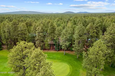 7161 Indian Bend Road, Pinetop, AZ 85935 - Photo 41