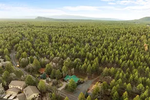 4433 Branding Iron Loop, Pinetop, AZ 85935 - Photo 1