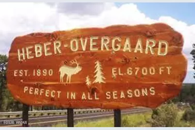 3377 Whisper Lane, Heber, AZ 85928 - Photo 5