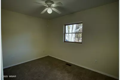 1435 Flag Hollow Road, Lakeside, AZ 85929 - Photo 29
