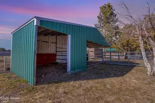 1435 Flag Hollow Rd, Lakeside, AZ 85929 - Photo 3