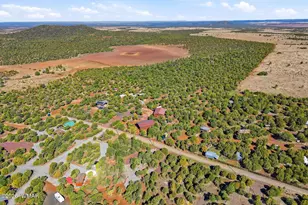 2 N County Road 3564, Vernon, AZ 85940 - Photo 17