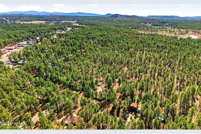 233 E Turkey Track Lane, Pinetop, AZ 85935 - Photo 5