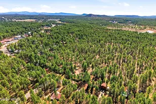 233 E Turkey Track Ln, Pinetop, AZ 85935 - Photo 5